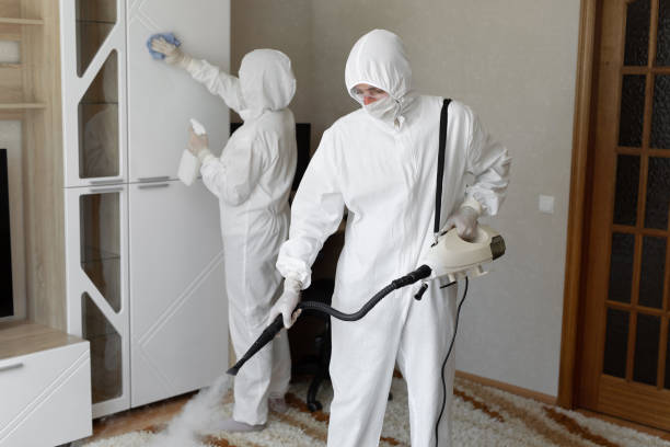 Best Mold Testing  in Frostburg, MD